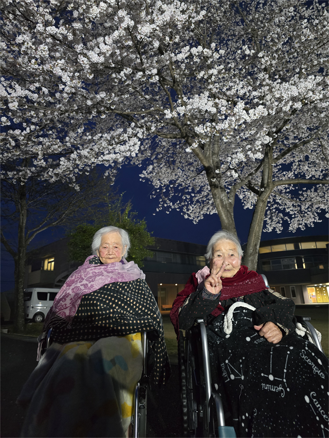 夜桜