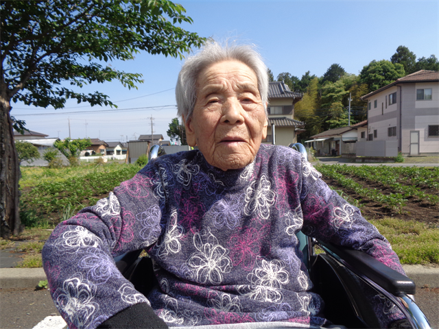 散歩日和