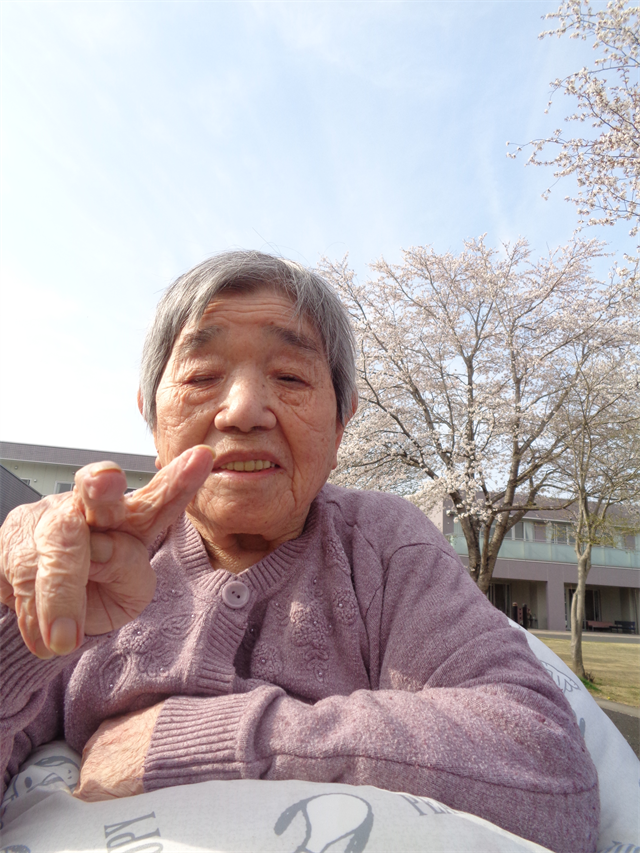 お花見