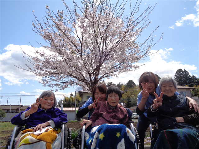 お花見