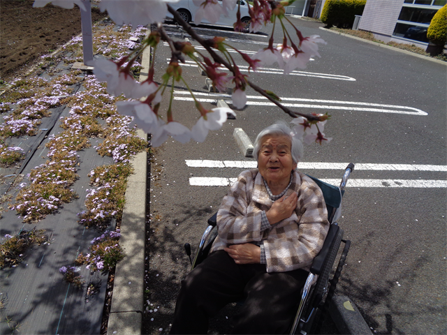 お花見