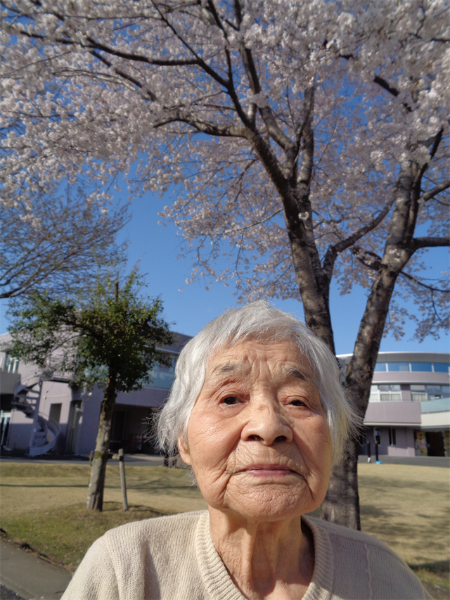 お花見
