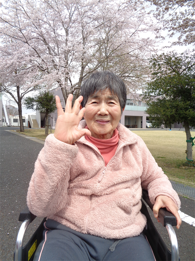 お花見