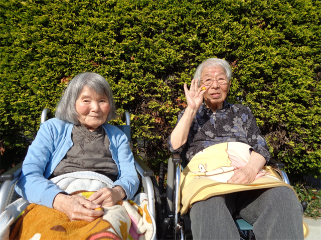 お散歩