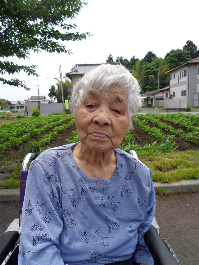 お散歩