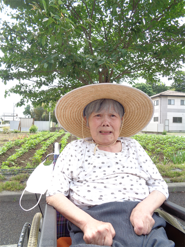お散歩