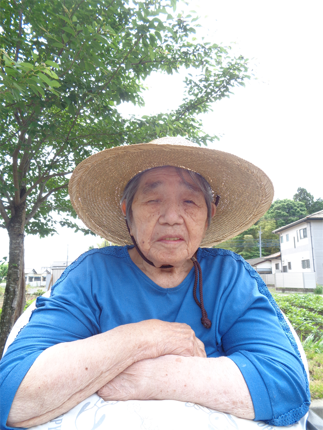 お散歩