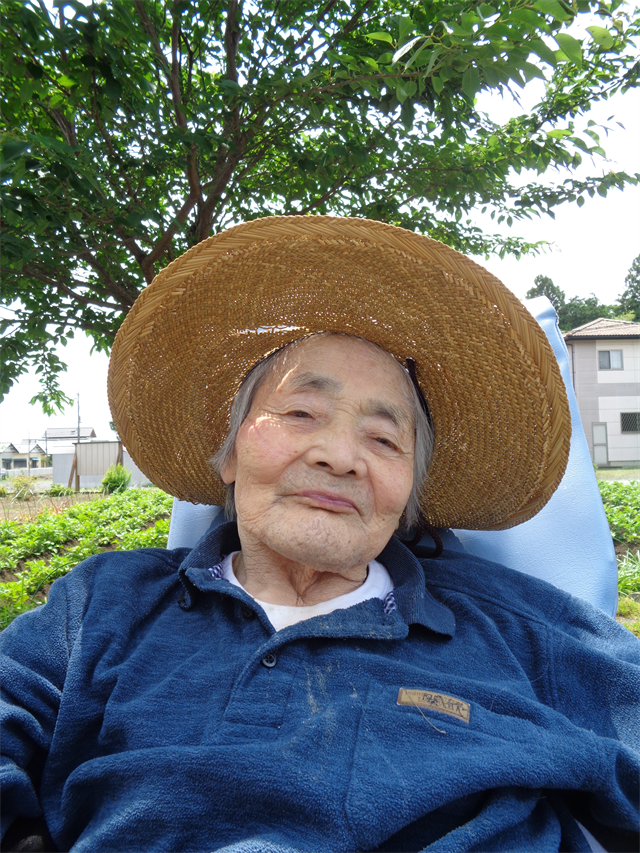 お散歩