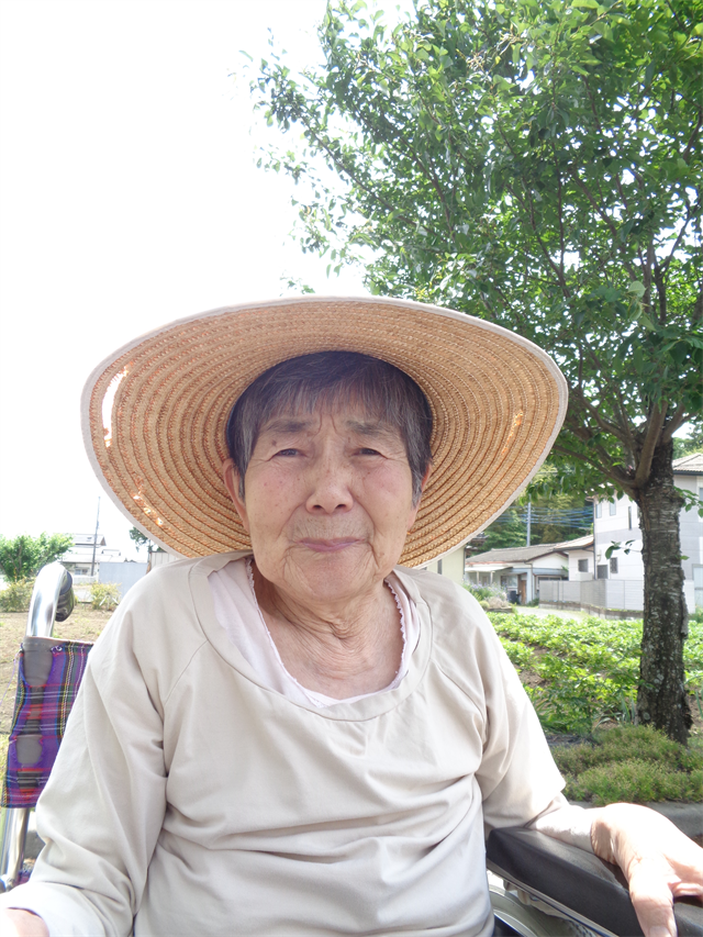 お散歩
