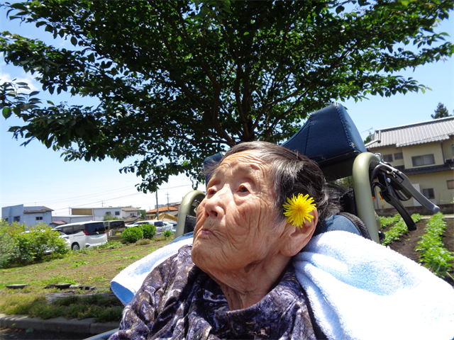 お散歩