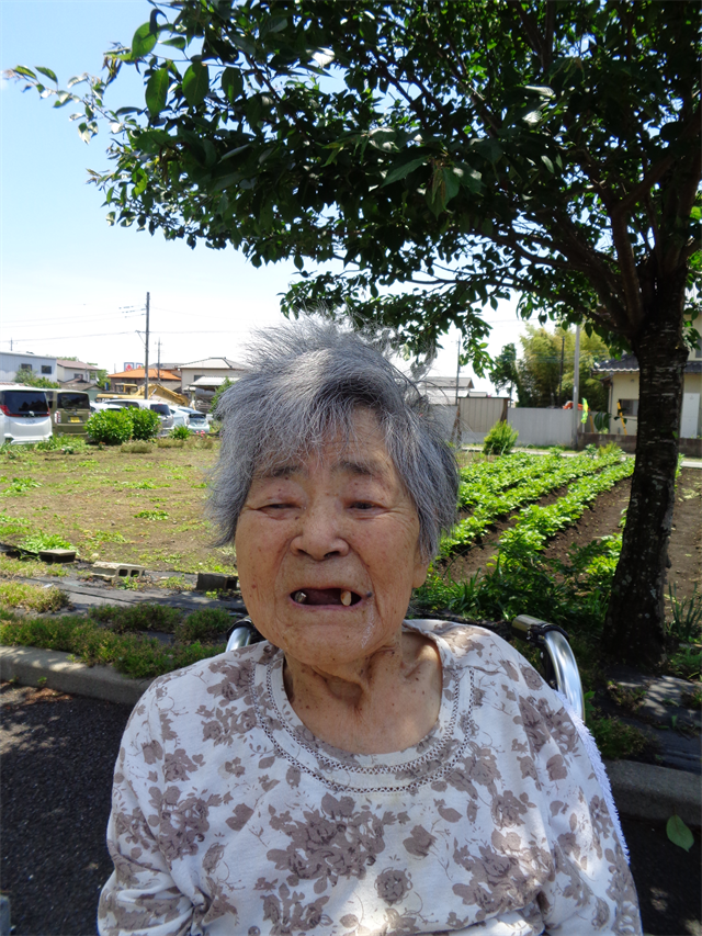 お散歩