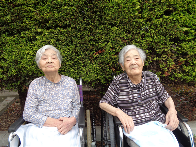 お散歩