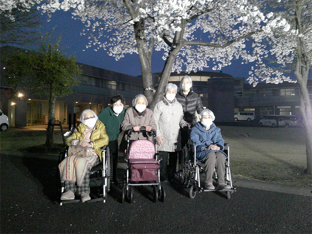 夜桜見物