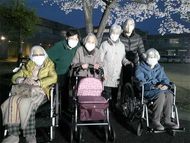 夜桜見物