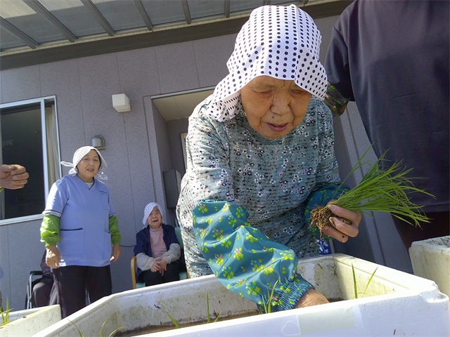 田植え