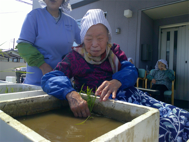 田植え