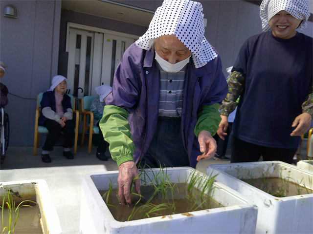 田植え