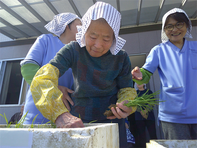 田植え
