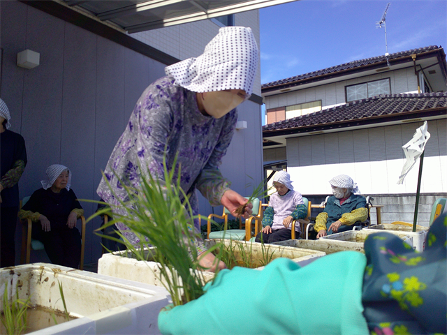 田植え