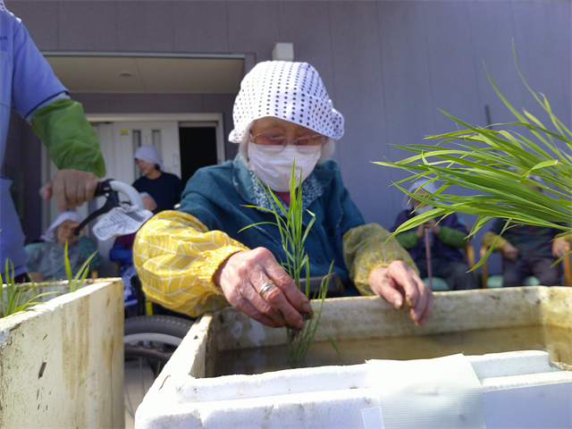 田植え