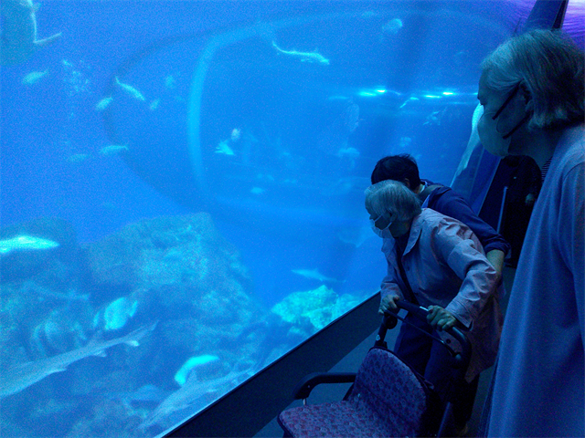 水族館