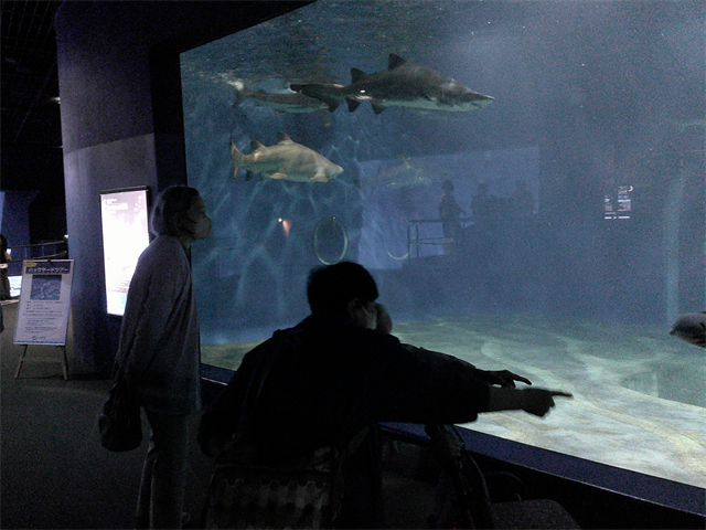水族館