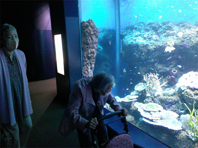 水族館