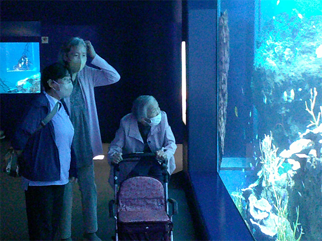 水族館