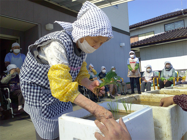 田植え