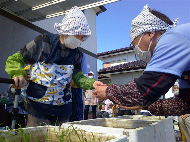 田植え