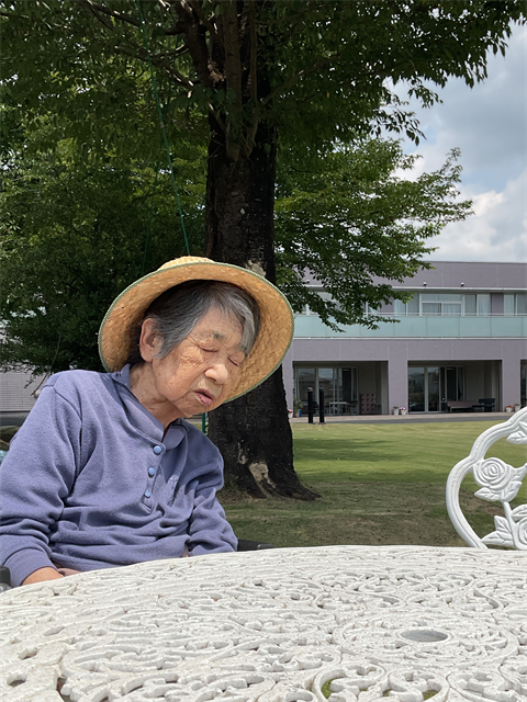 お花と