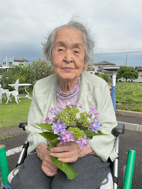 お花と