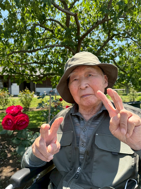 紫陽花