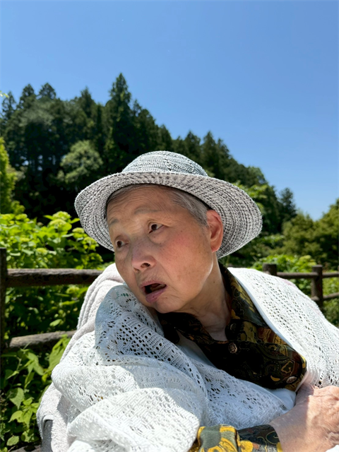 紫陽花