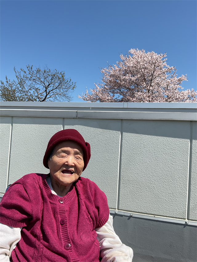 テラス
