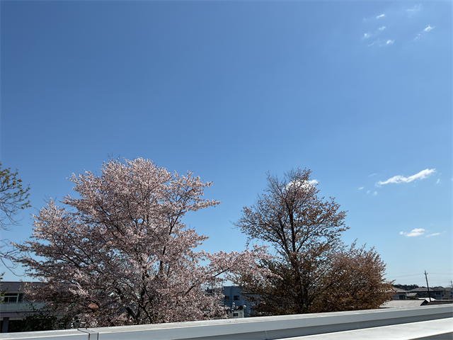 テラス