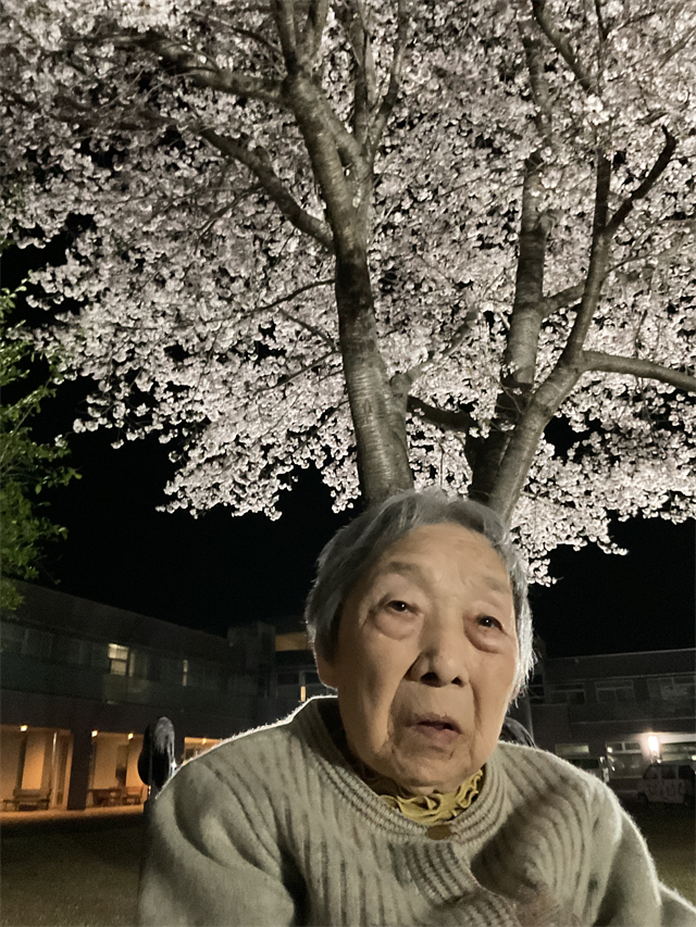 夜桜2