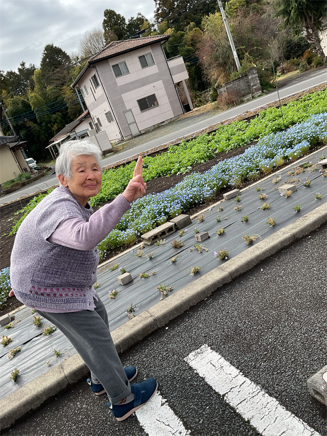 春散歩
