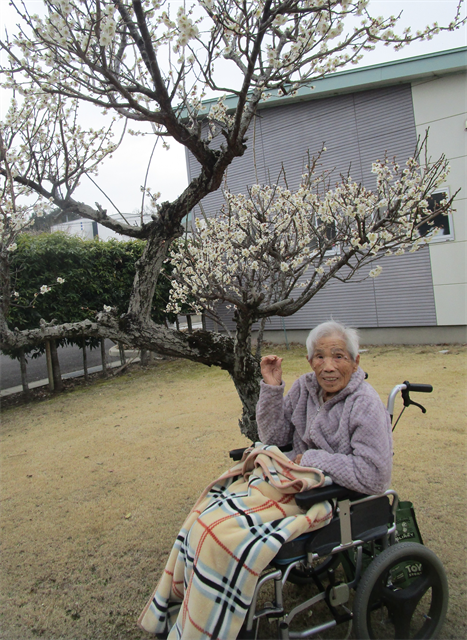 梅の花見
