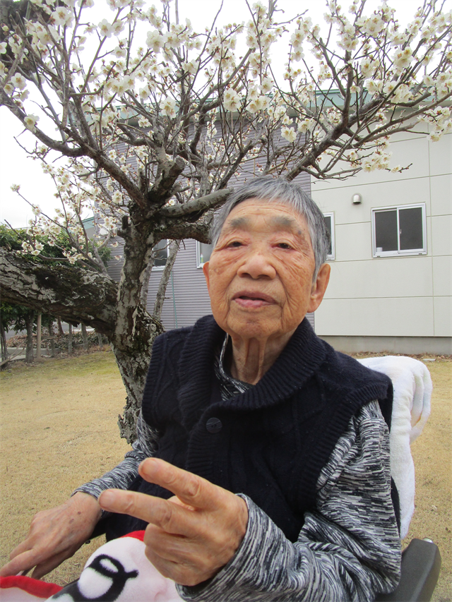梅の花見