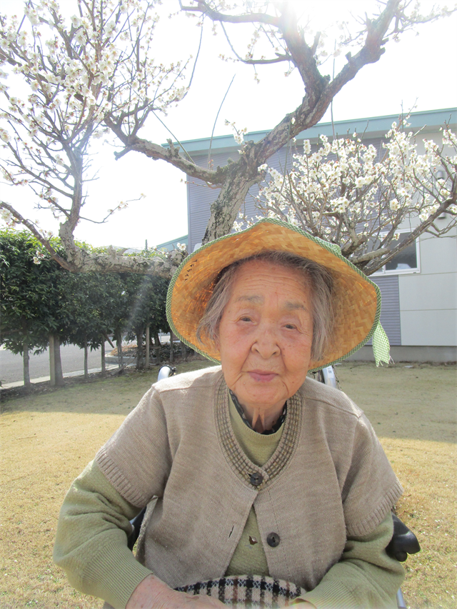 梅の花見