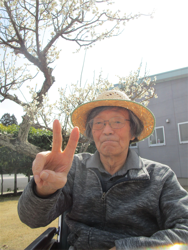 梅の花見