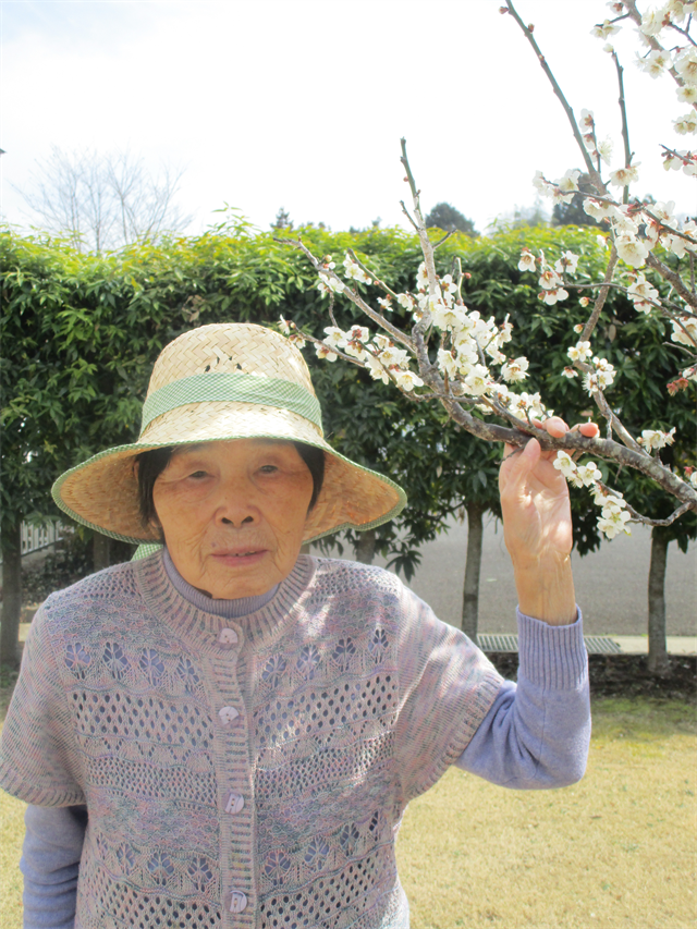 梅の花見