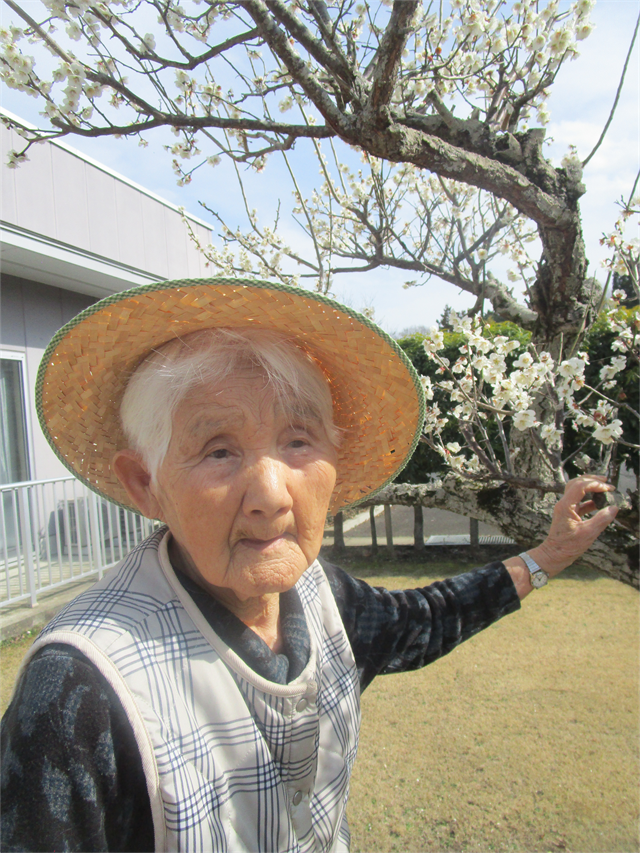 梅の花見