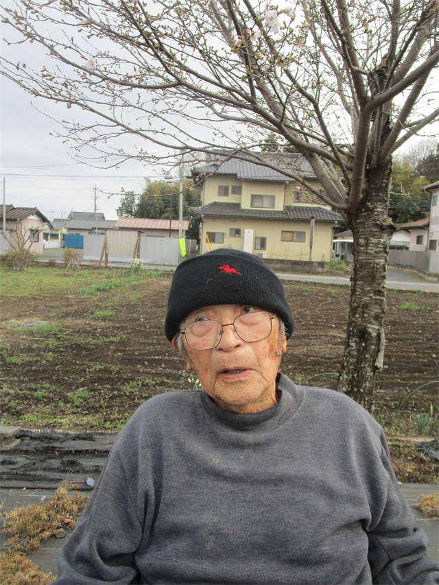 お散歩