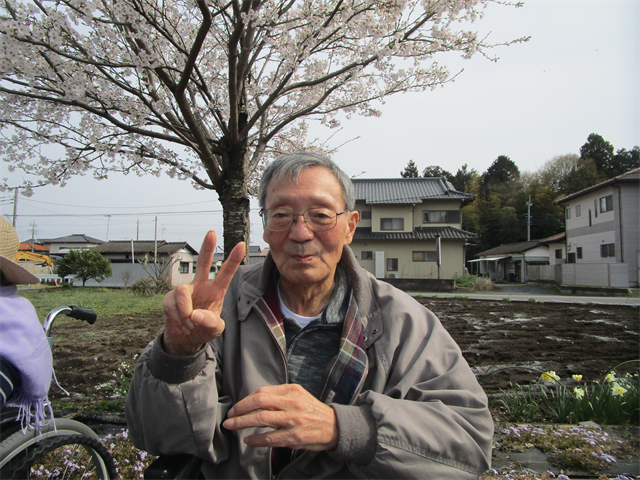 桜、満開