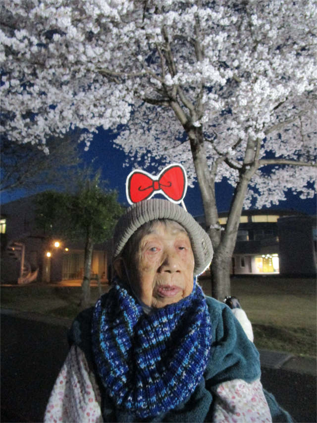 桜、満開