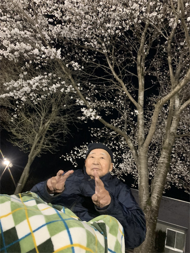 さくら鑑賞