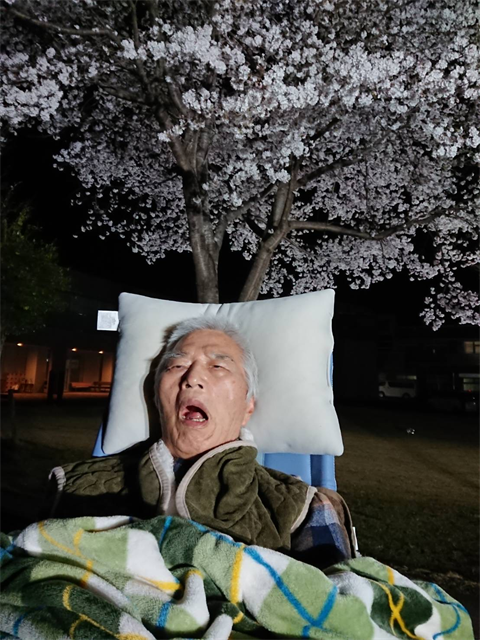 夜桜ライトアップ