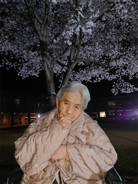 夜桜ライトアップ
